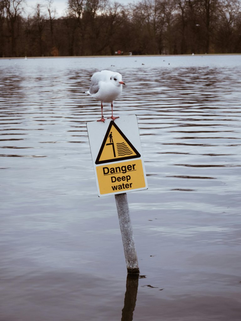 A seagull perched on a danger sign in a flooded London park during winter.