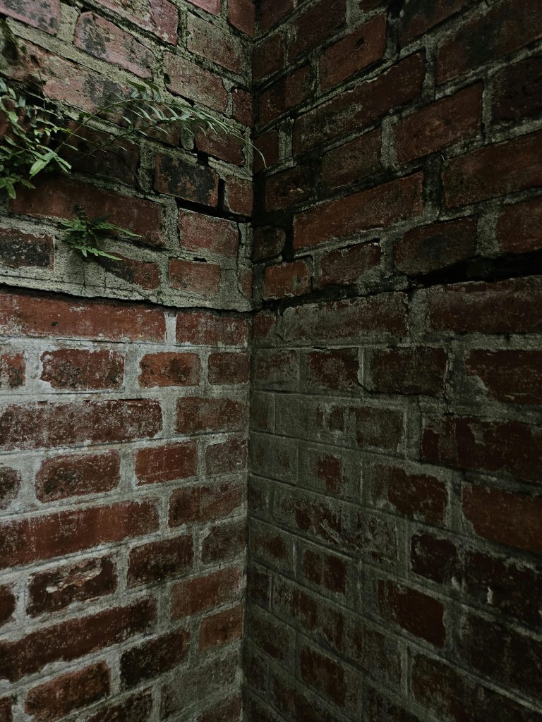Dramatic view of a rustic brick wall corner with overgrown greenery and aged texture.