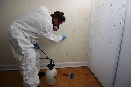After death cleaning Biohazard cleaner operative